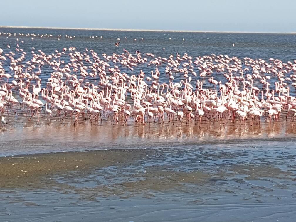 Elilo Bed And Breakfast Walvis Bay Ngoại thất bức ảnh